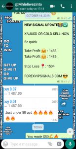 best forex signals