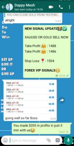 free forex signal