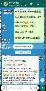 best forex signals