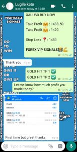 best forex signals