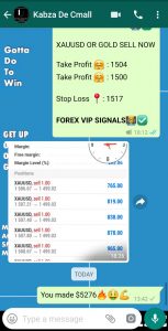 vip signal forex