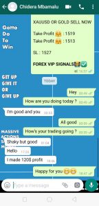 forex signals providers by forex vip signals