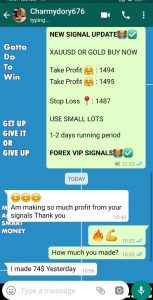 forex signals review