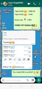 free signal forex