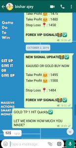 free vip forex signal