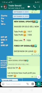 forex today by forex vip signals