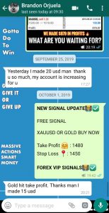 free vip forex signal