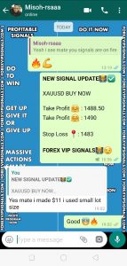 forex signals providers