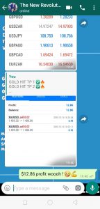 free forex signals live