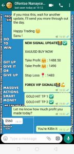 vip forex signals