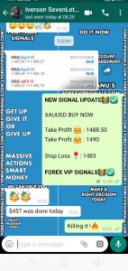 vip forex signals