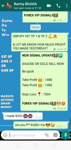 best forex signal provider