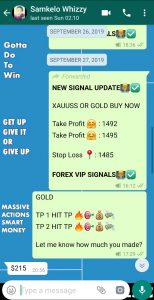 fx trading signals by forex vip signals