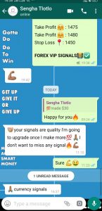 long term forex signals by forex vip signals