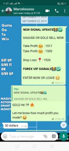 long term forex signals by forex vip signals