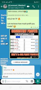 paid forex signals by forex vip signals