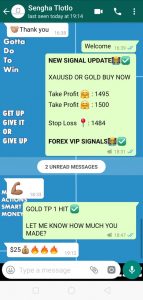 real time forex signals by forex vip signals