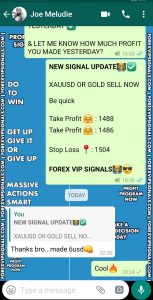 forex signals free