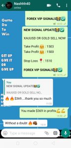 forex signal provider