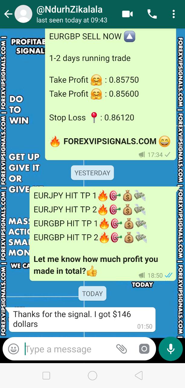 forex signals best performance