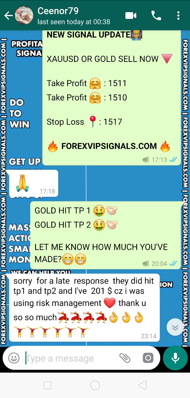 forex signals review