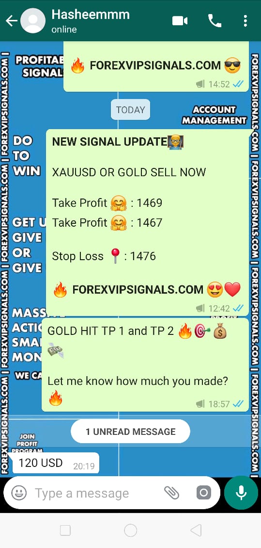 forexvipsignals.com review