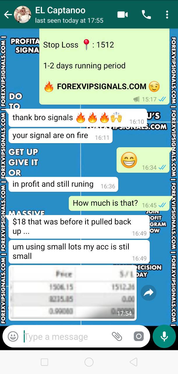 forex signals review