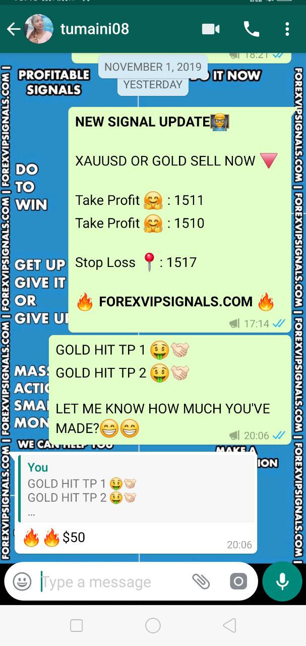 forex signals