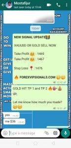 vip forex signals
