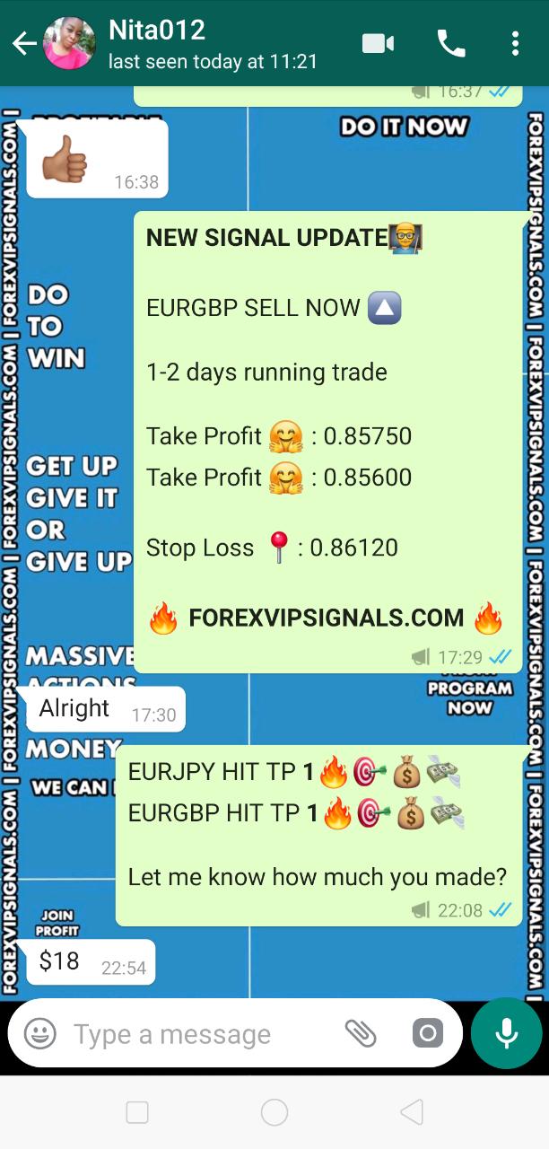 forexvipsignals.com review