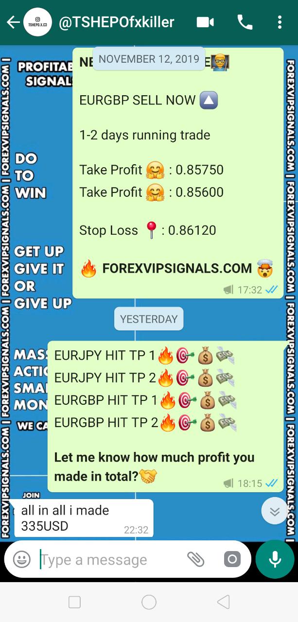 forex signal vip