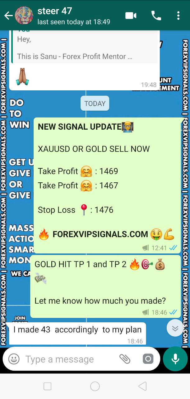 free vip forex signal