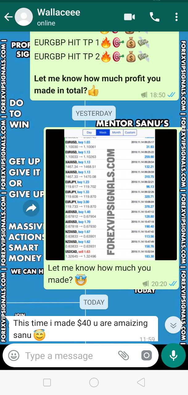 forex signals