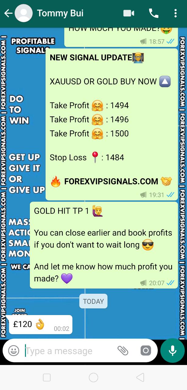 vip forex signals