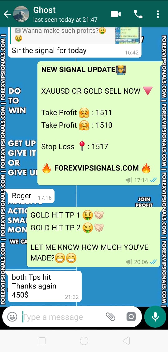 forex signals review