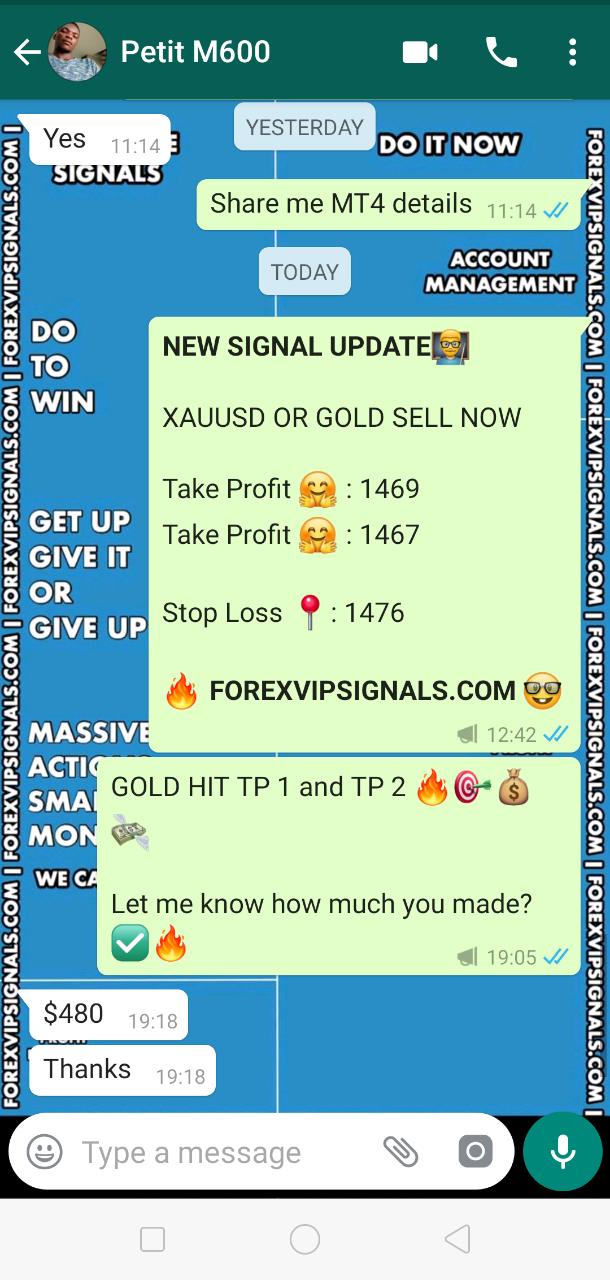 best forex signals 2019