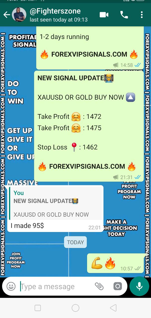 forexvipsignals.com review