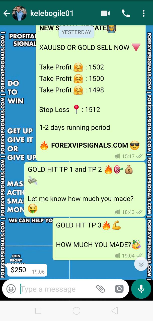 forex signals for free