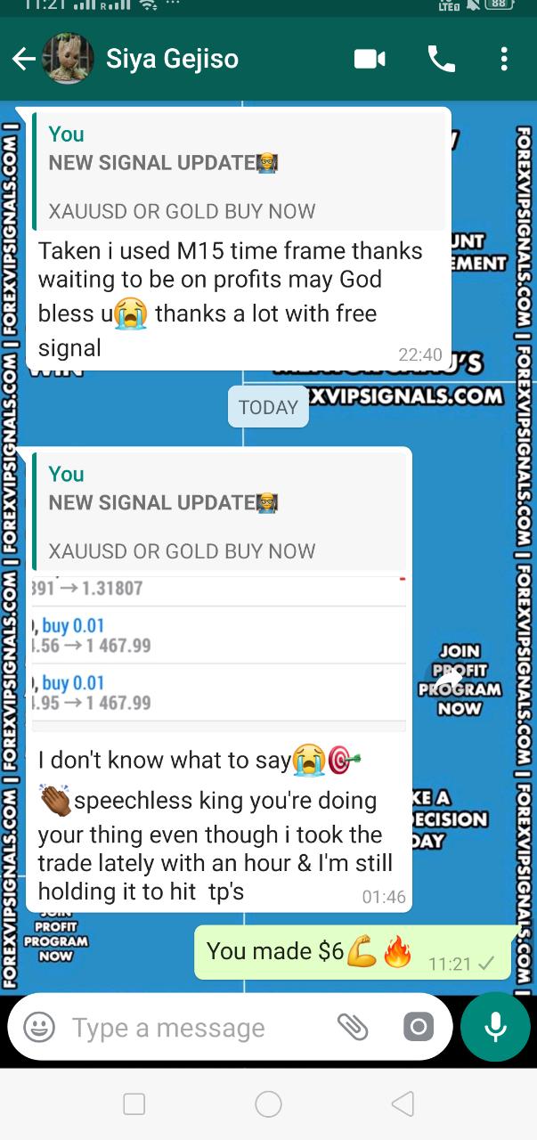 forexvipsignals.com