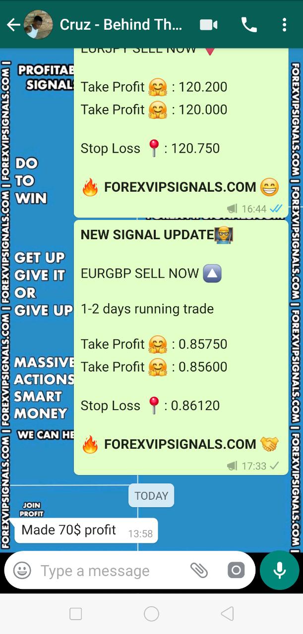 vip forex signals