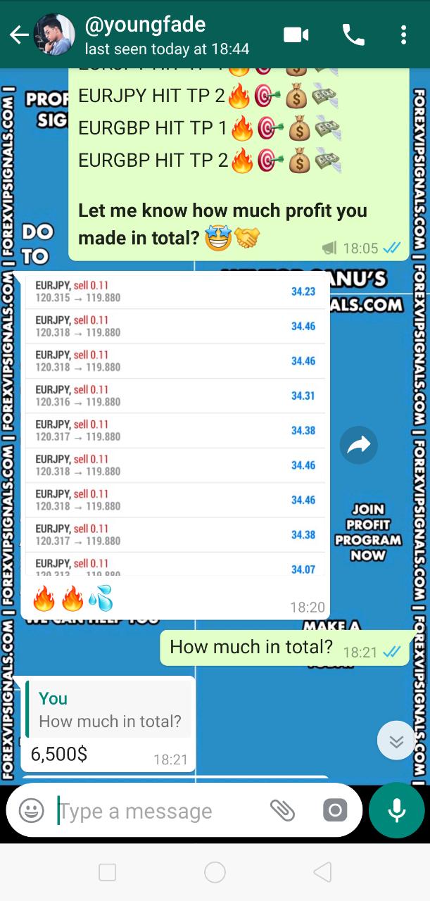 forex signals best performance