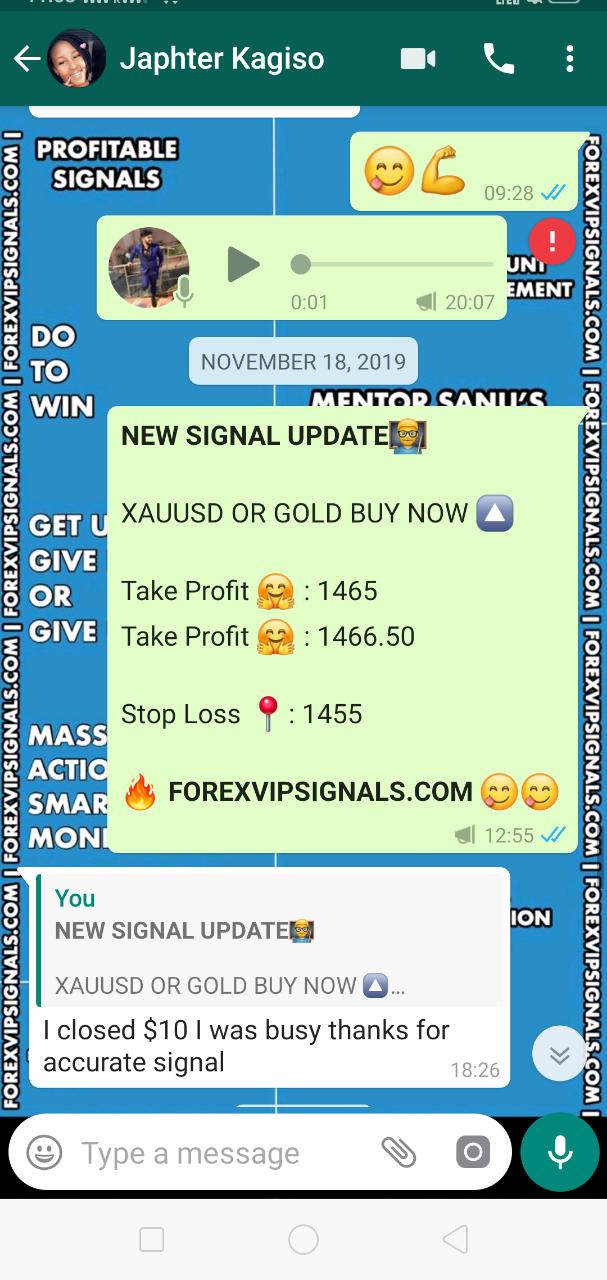 free vip forex signal