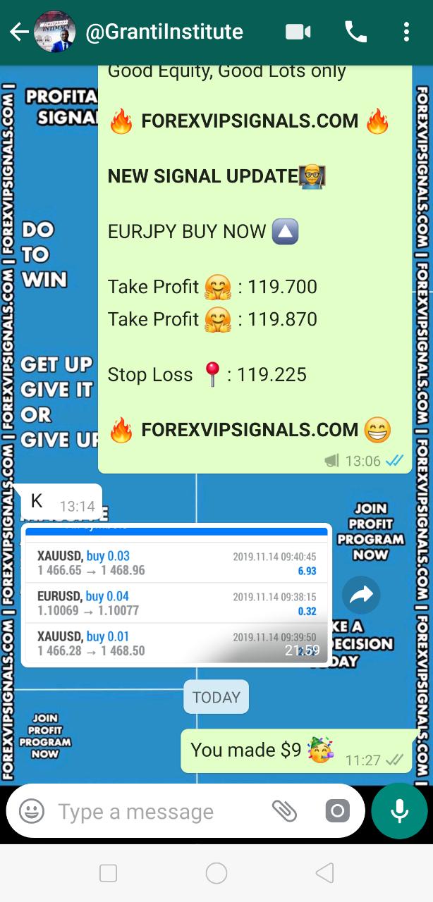 forexvipsignals.com review