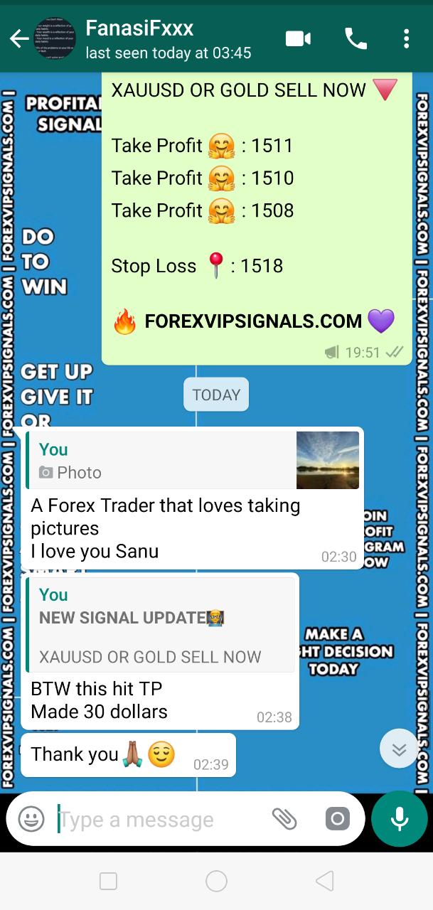 best forex signals provider