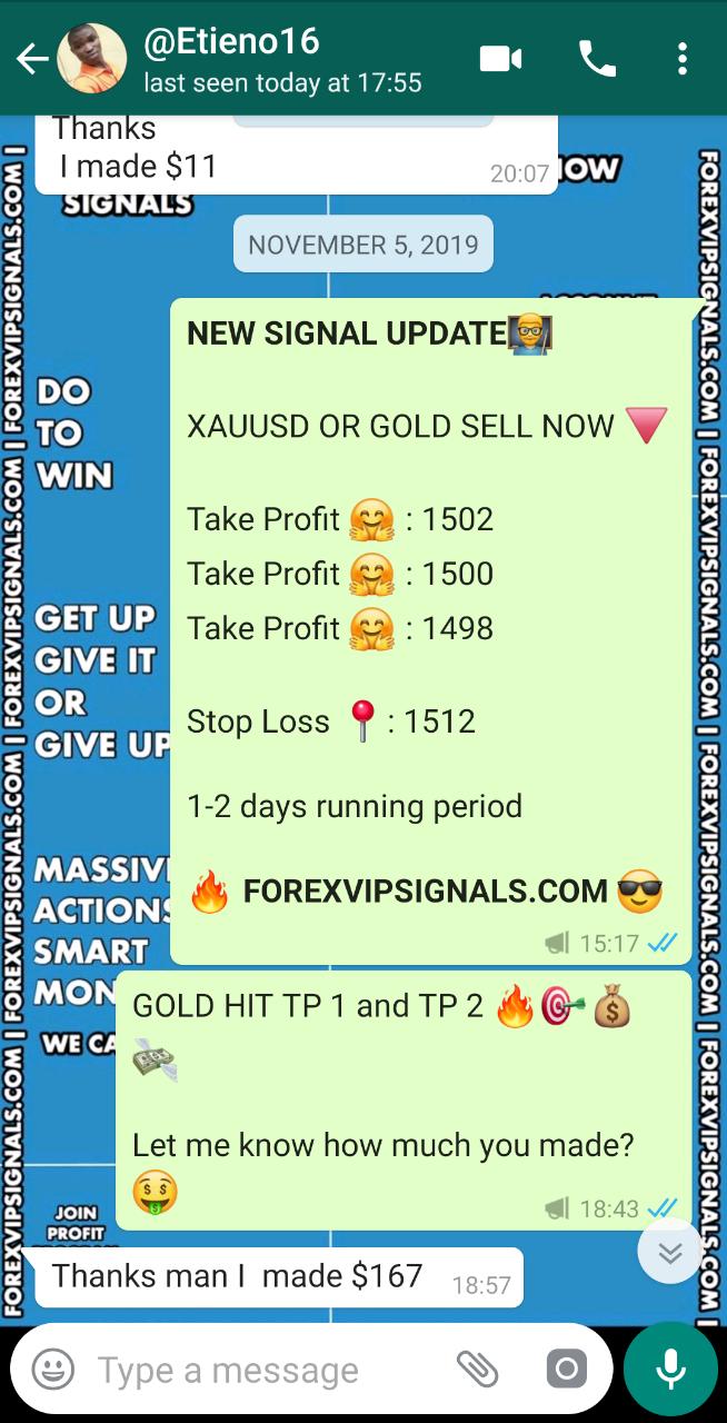 forex signal vip