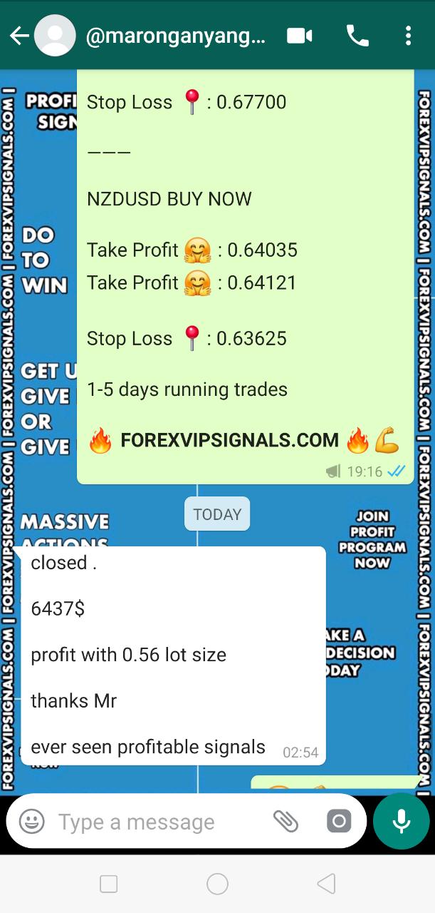 forex signal vip