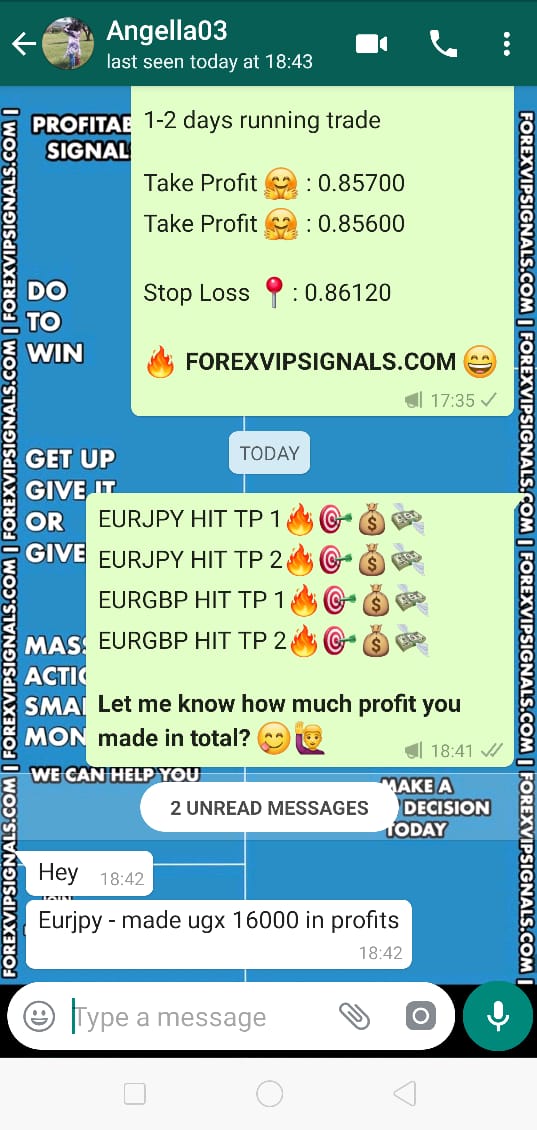 best forex signal provider