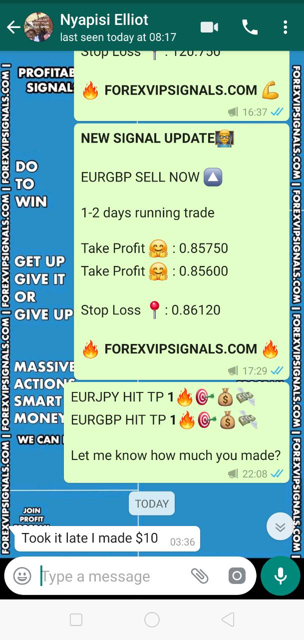 forex signals vip