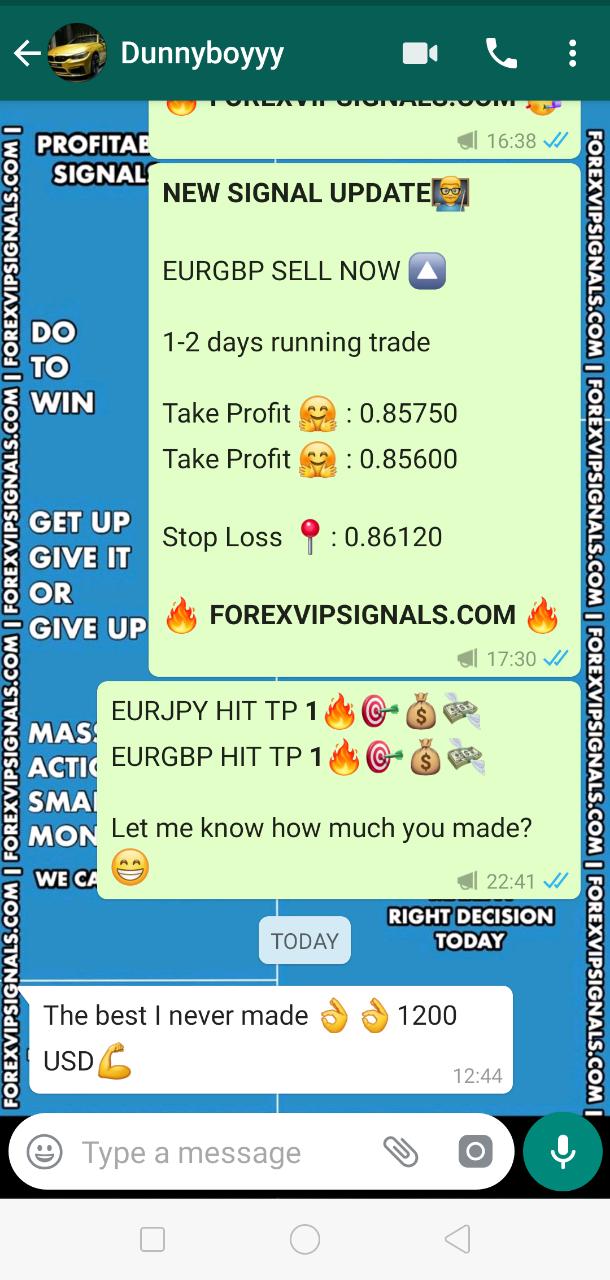 forexvipsignals.com