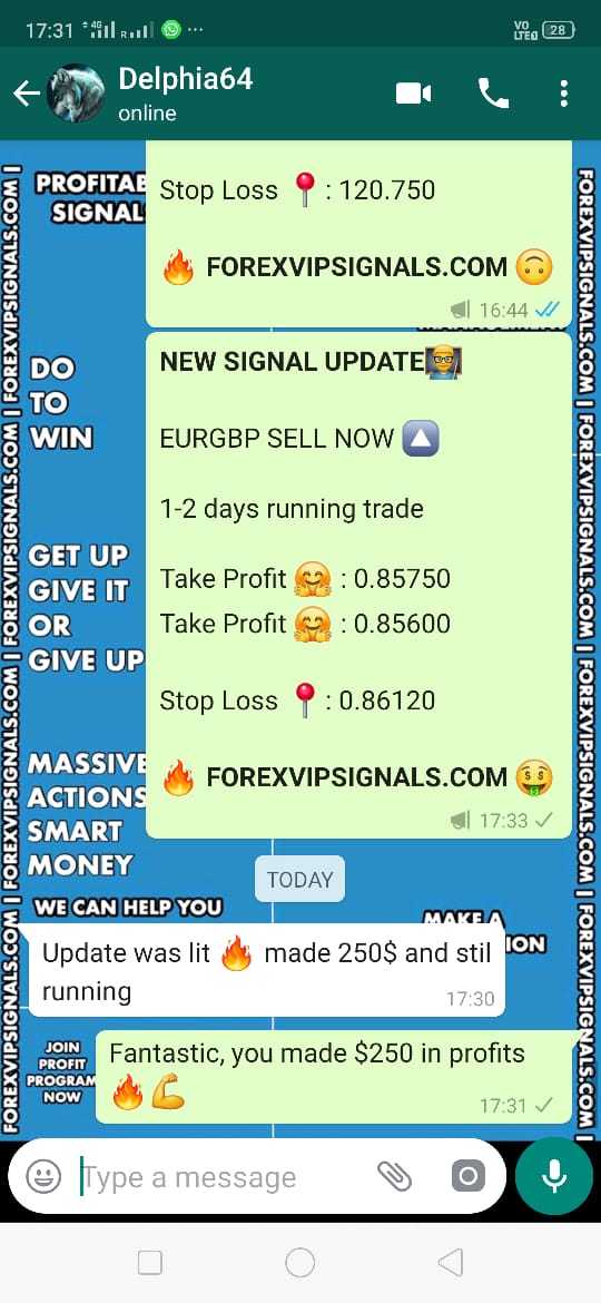 forex signal vip